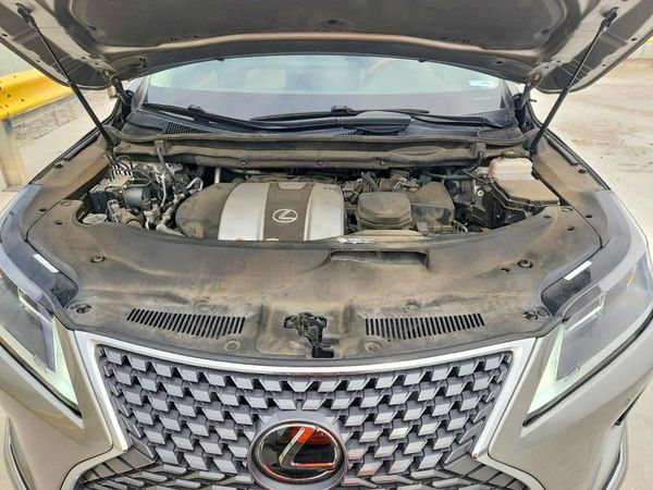 2020 LEXUS RX