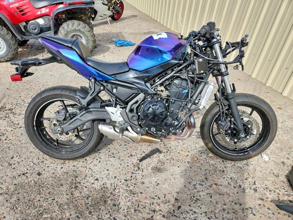 2025 KAWASAKI EX650