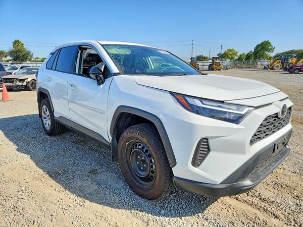 2024 TOYOTA RAV4 LE
