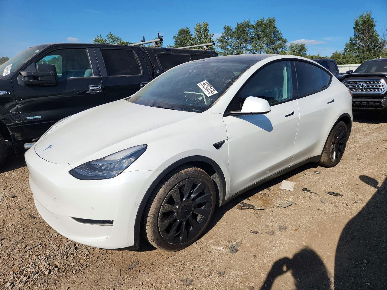 2020 TESLA MODEL Y
