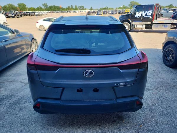 2019 LEXUS UX 250H