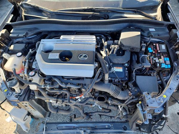 2019 LEXUS UX 250H
