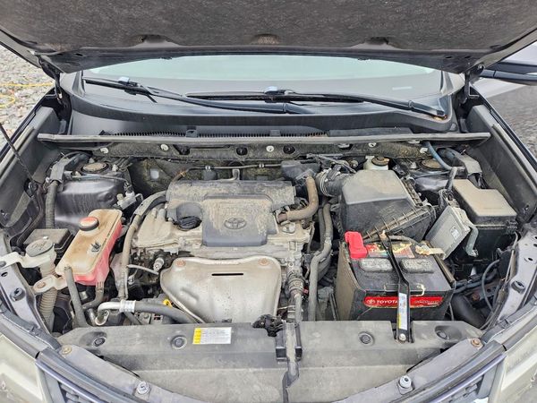 2015 TOYOTA RAV4 XLE (M Grade)