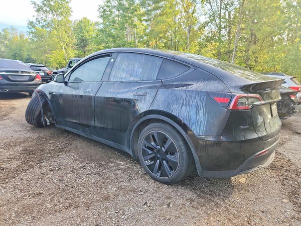2024 TESLA MODEL Y