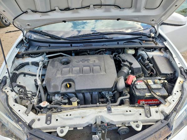 2019 TOYOTA COROLLA L/LE/SE/XLE/XSE