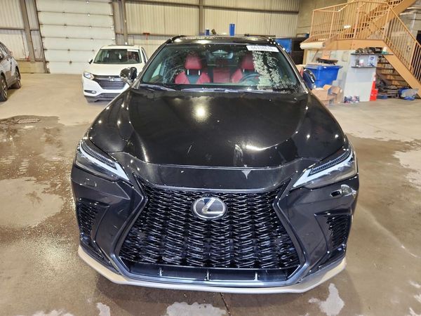2023 LEXUS NX
