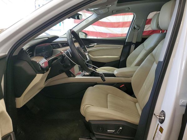 2019 AUDI E-TRON