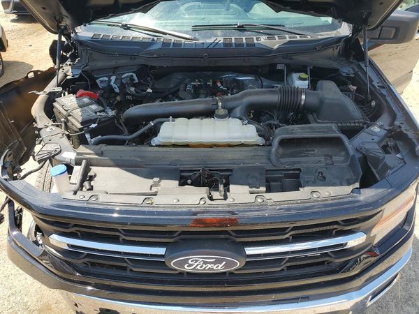 2025 FORD F150 XLT