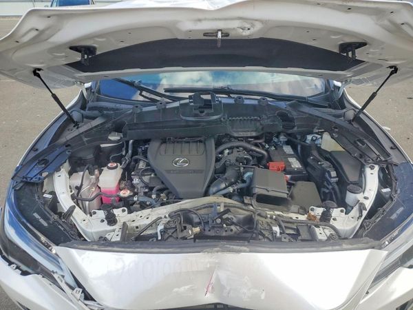 2024 LEXUS RX 350