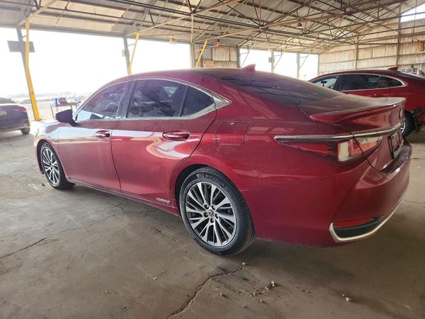 2019 LEXUS ES 300h