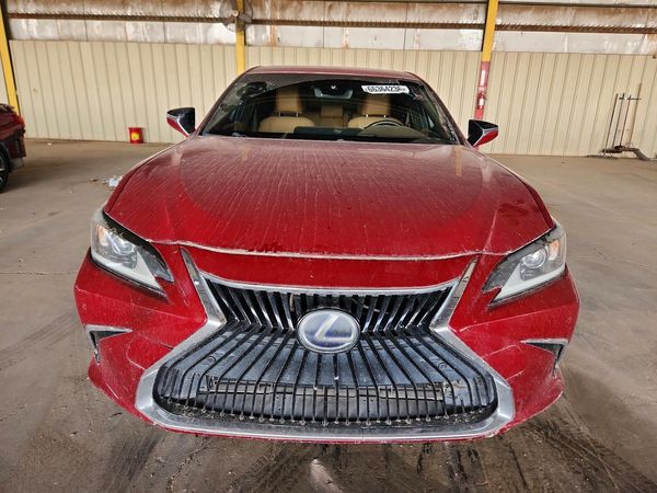 2019 LEXUS ES 300h