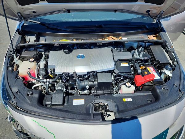 2019 TOYOTA PRIUS Plus/Premium/Advanced