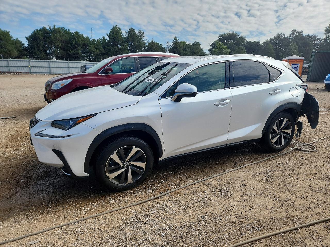 2019 LEXUS NX 300 300 Luxury