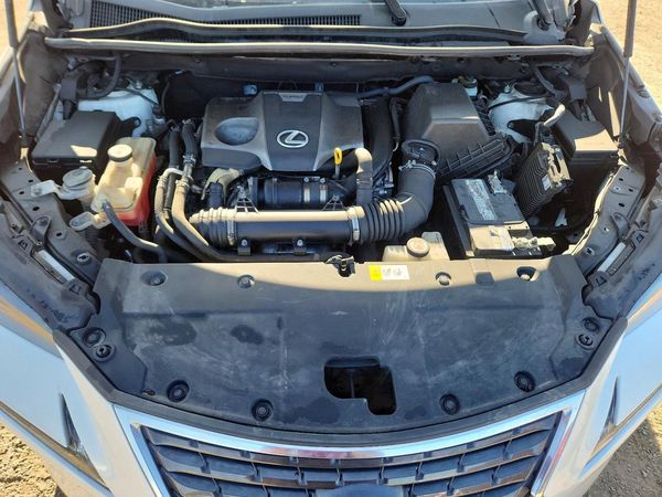 2019 LEXUS NX 300 300 Luxury