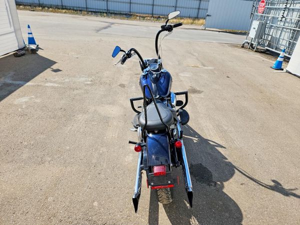 2013 HARLEY-DAVIDSON FLS