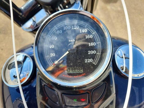 2013 HARLEY-DAVIDSON FLS