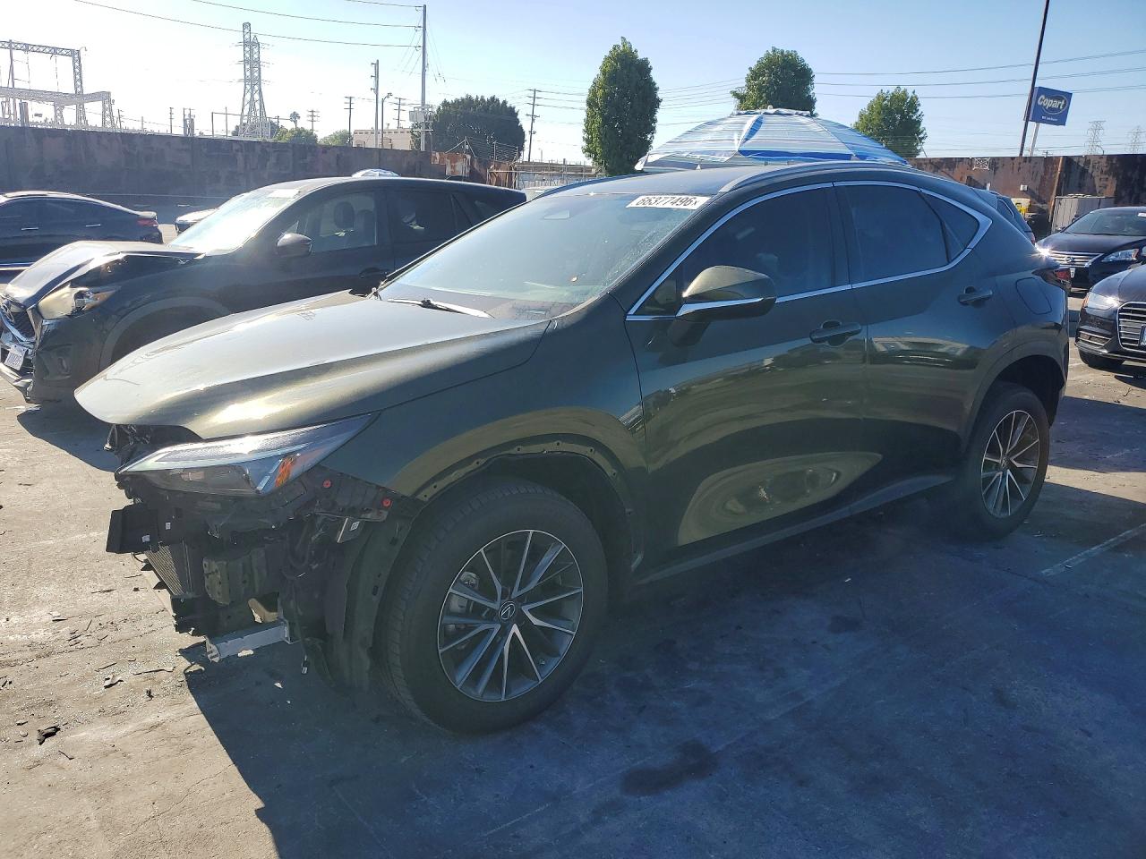 2023 LEXUS NX 350 Premium