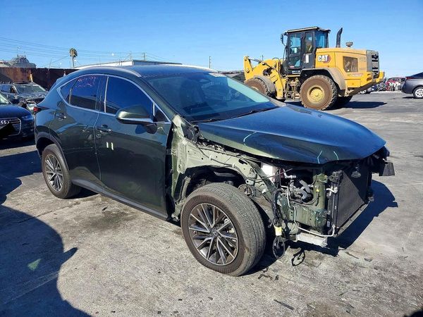 2023 LEXUS NX 350 Premium