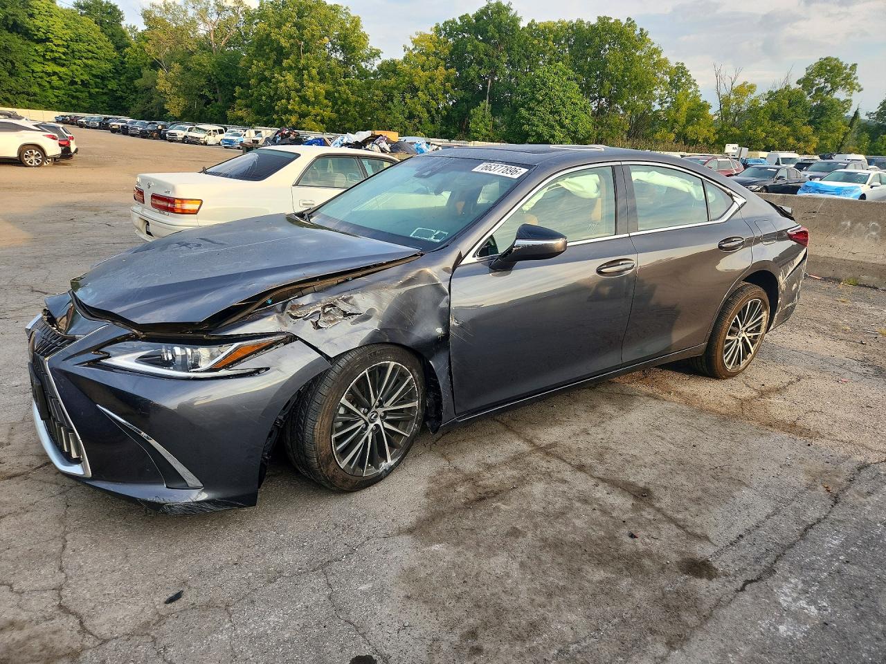 2024 LEXUS ES 350