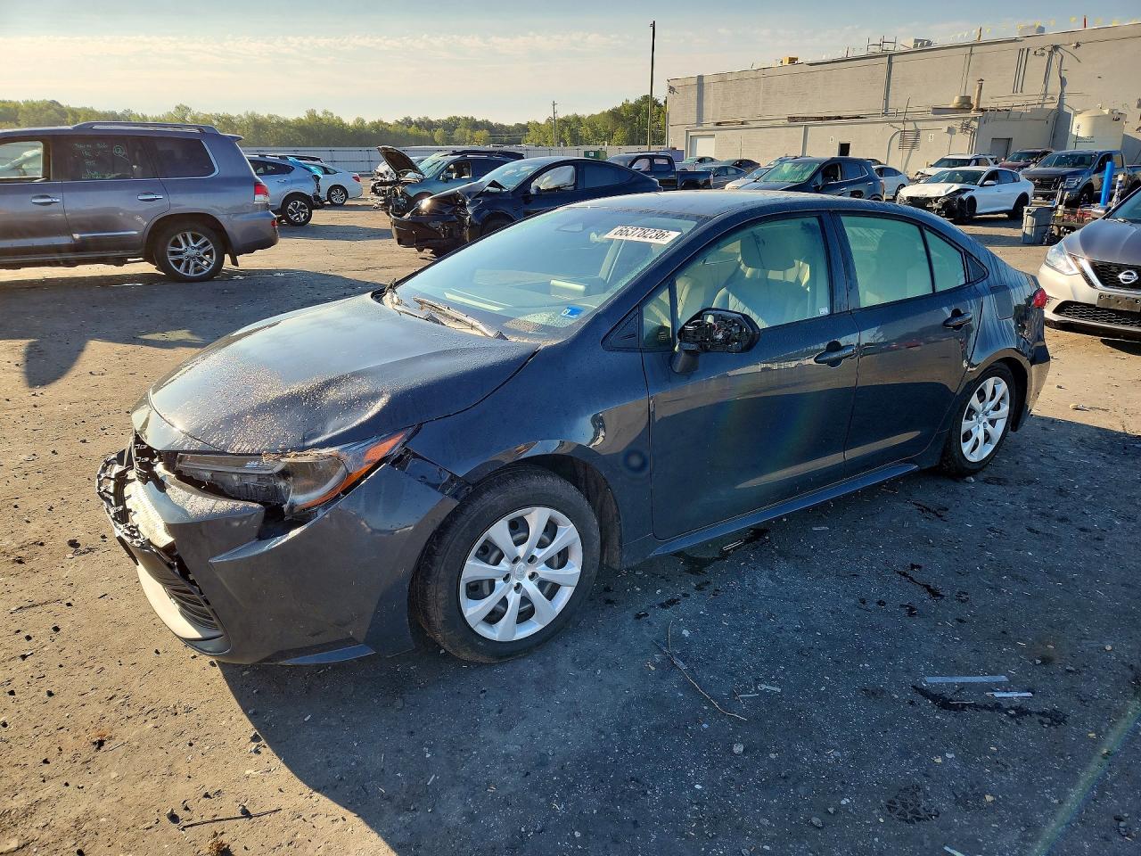 2023 TOYOTA COROLLA