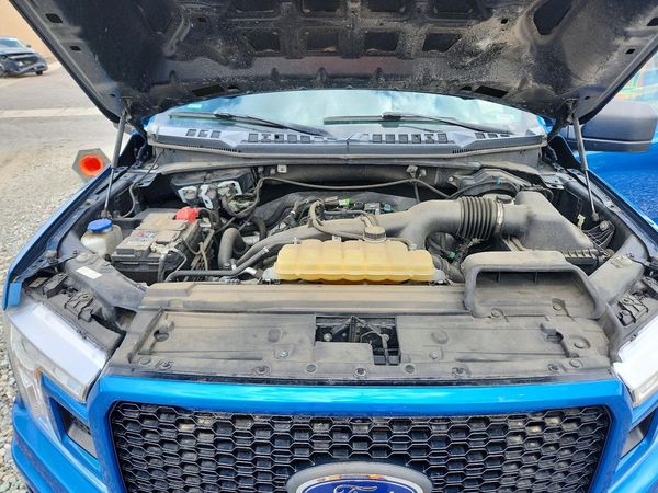 2019 FORD F150