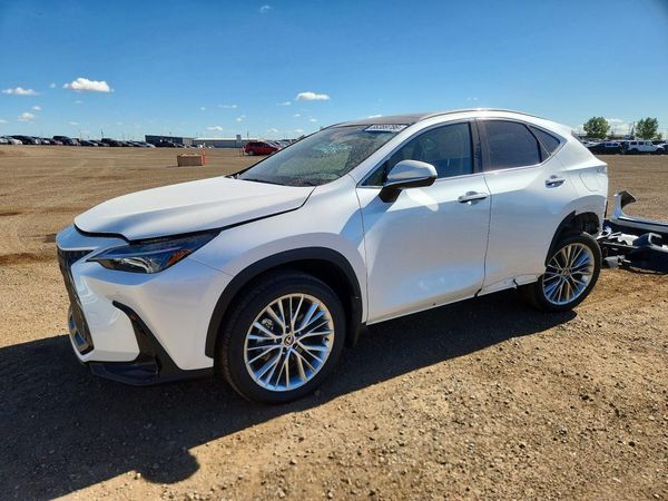 2025 LEXUS NX 350H