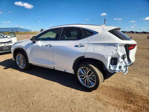 2025 LEXUS NX 350H 350h Premium