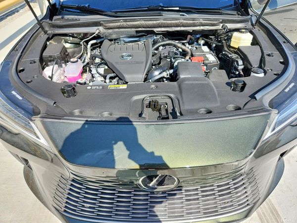 2026 LEXUS RX 350