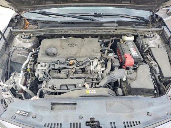 2019 TOYOTA CAMRY L/LE/SE/XLE