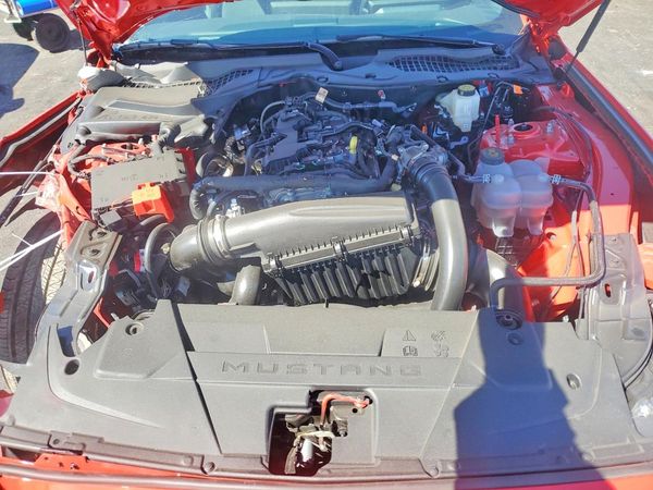 2025 FORD MUSTANG