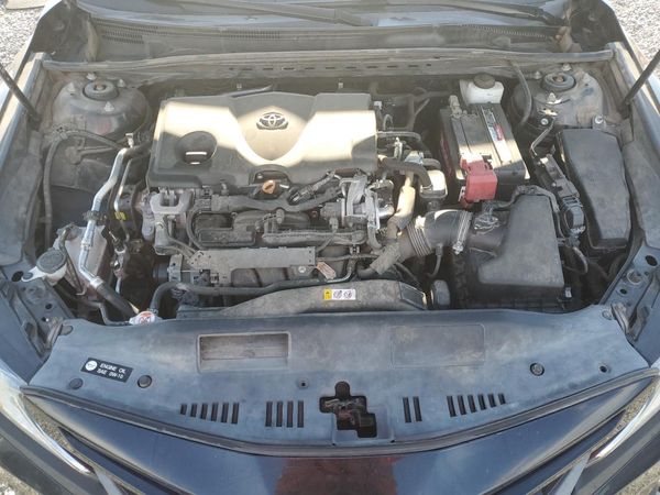 2019 TOYOTA CAMRY L/LE/SE/XLE
