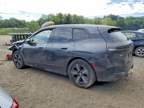 2025 BMW IX