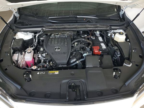 2025 LEXUS RX 350