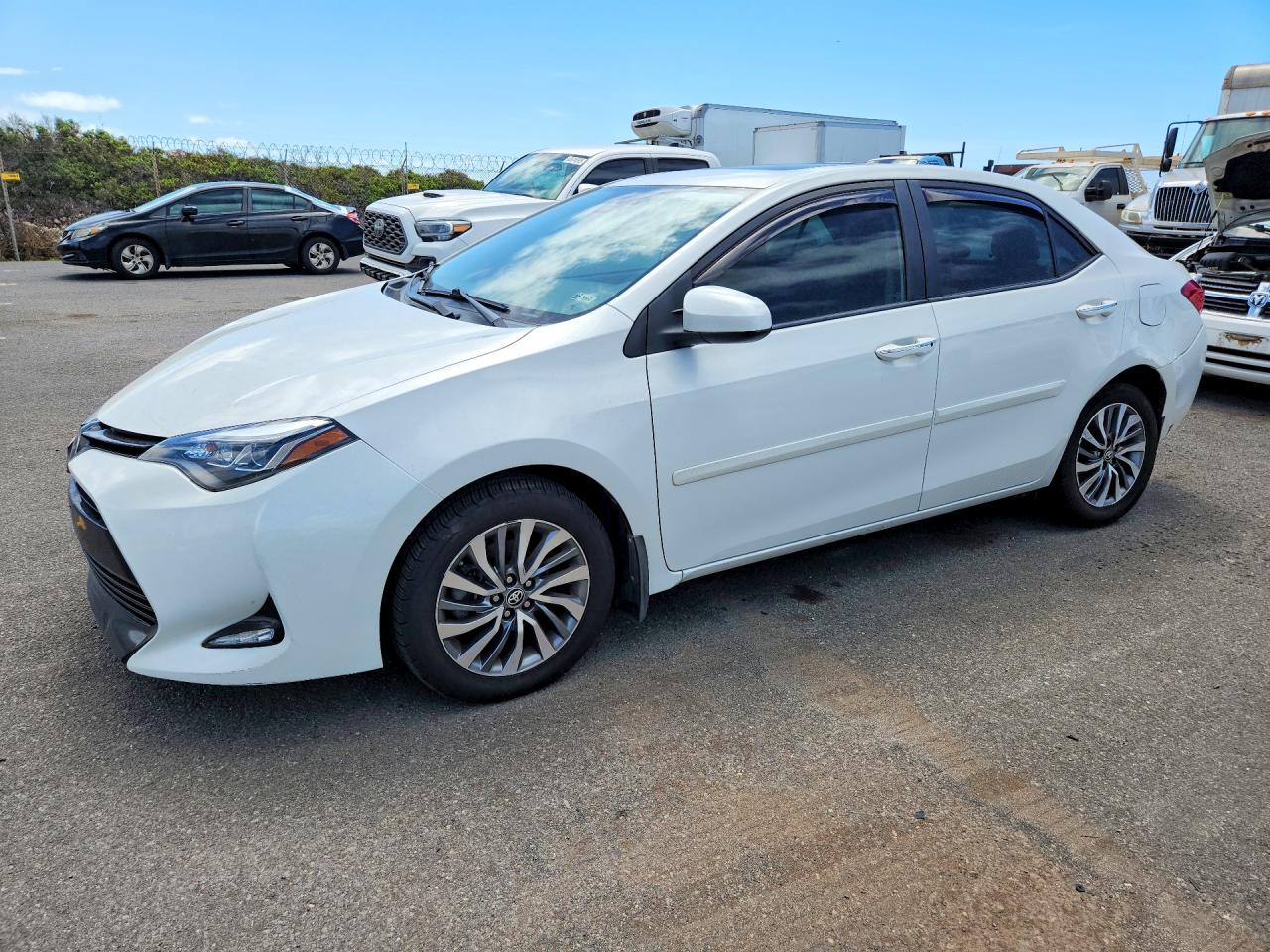 2024 TOYOTA COROLLA