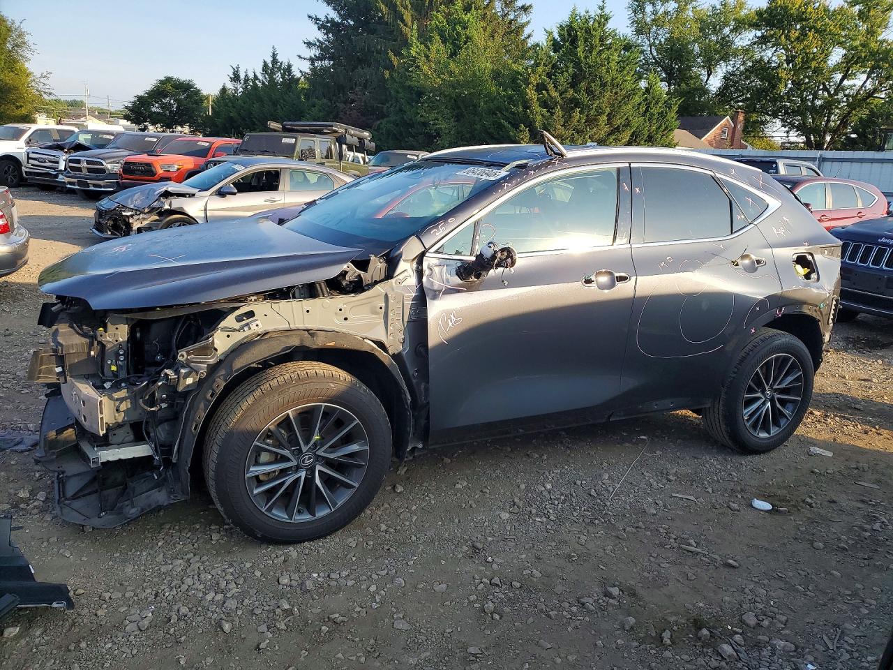 2024 LEXUS NX