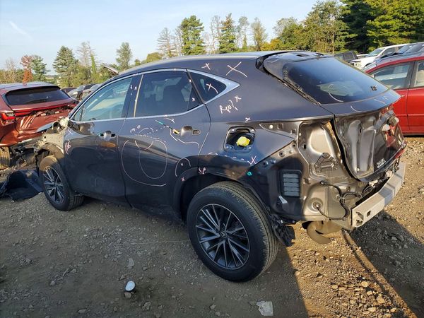 2024 LEXUS NX