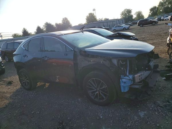 2024 LEXUS NX