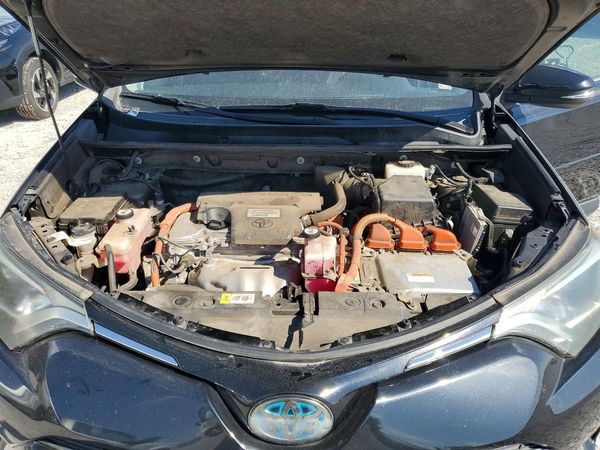 2018 TOYOTA RAV4 LE Plus/XLE