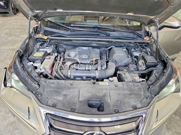 2016 LEXUS NX 200T 200t Luxury