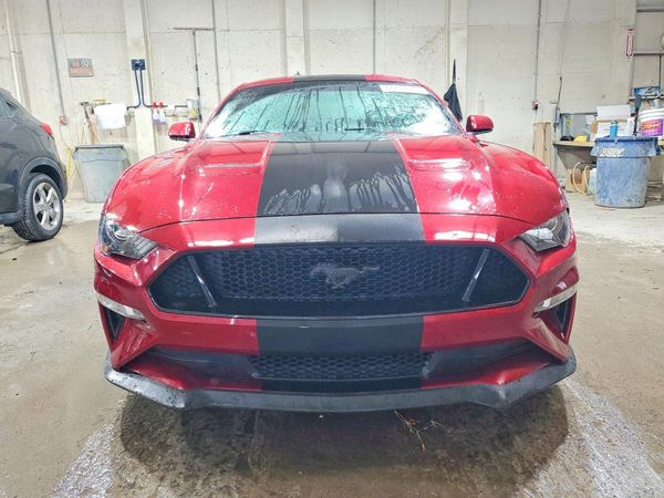 2019 FORD MUSTANG