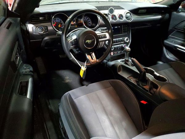 2019 FORD MUSTANG
