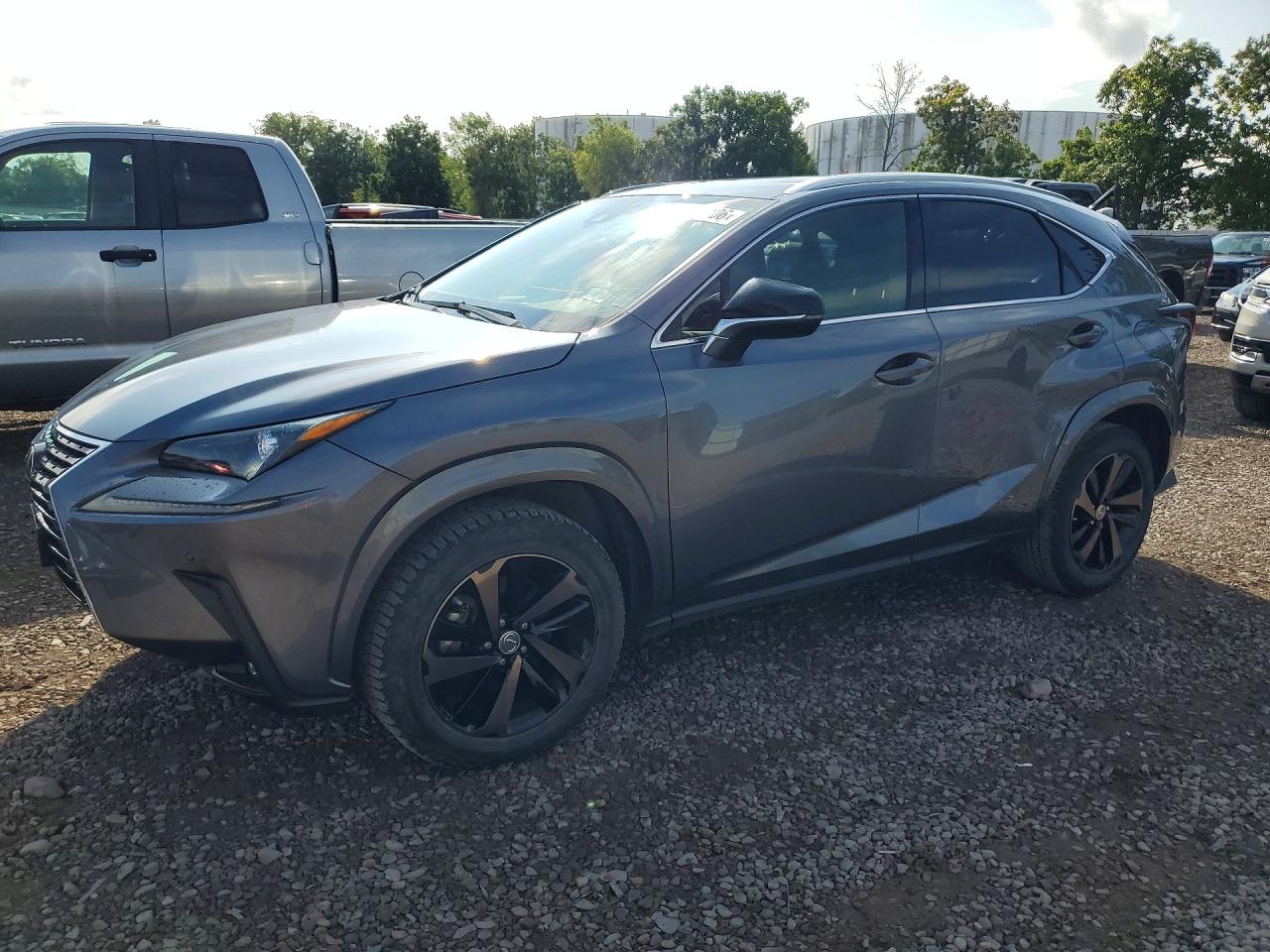 2020 LEXUS NX 300 Premium