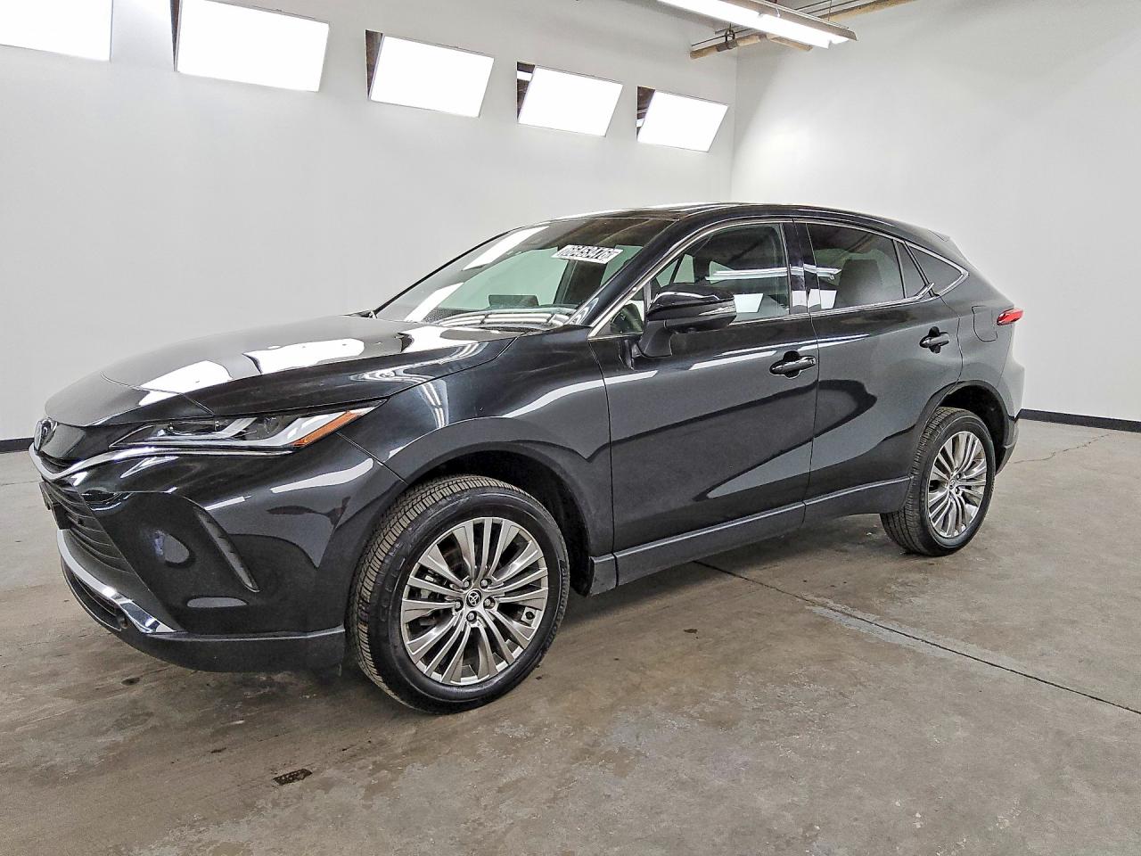 2023 TOYOTA VENZA