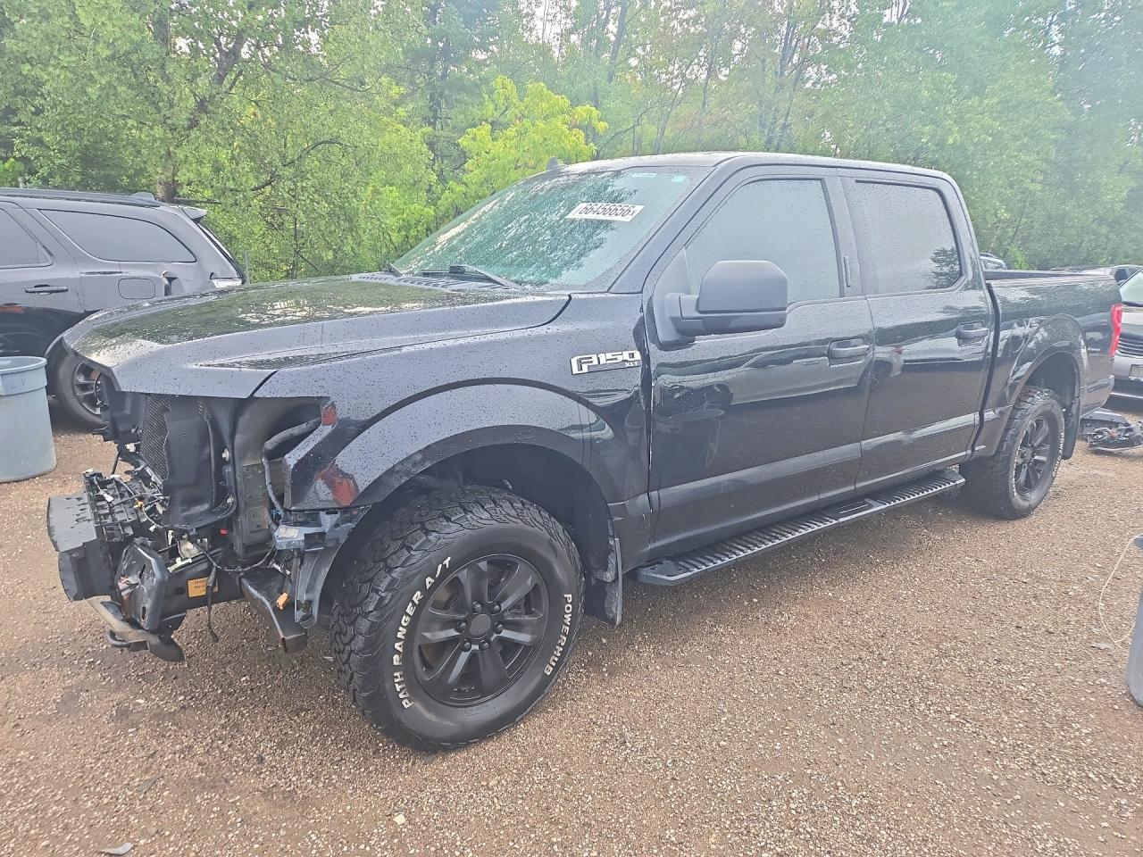 2019 FORD F150