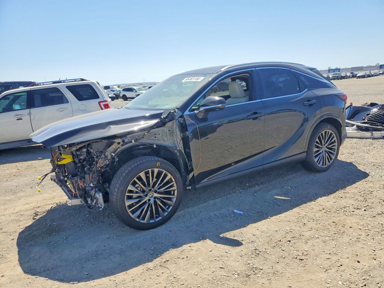 2025 LEXUS RX