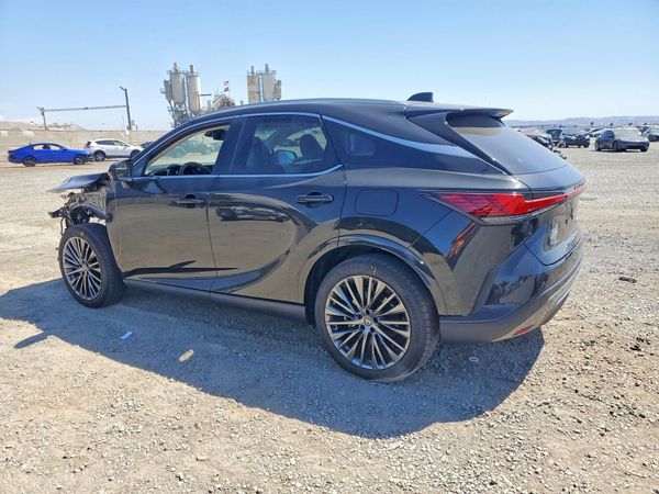 2025 LEXUS RX