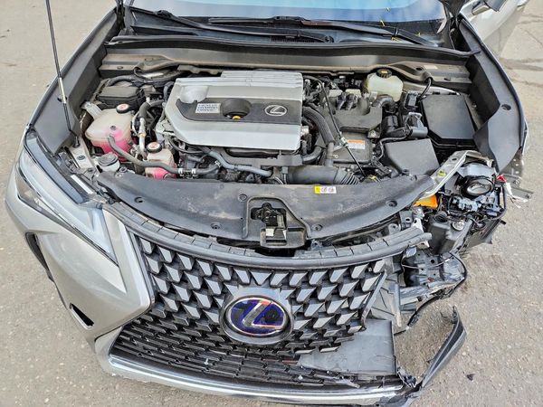 2019 LEXUS UX