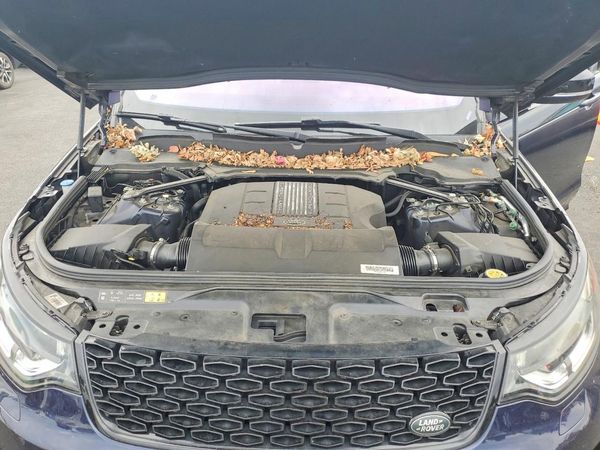 2020 LAND ROVER DISCOVERY Landmark