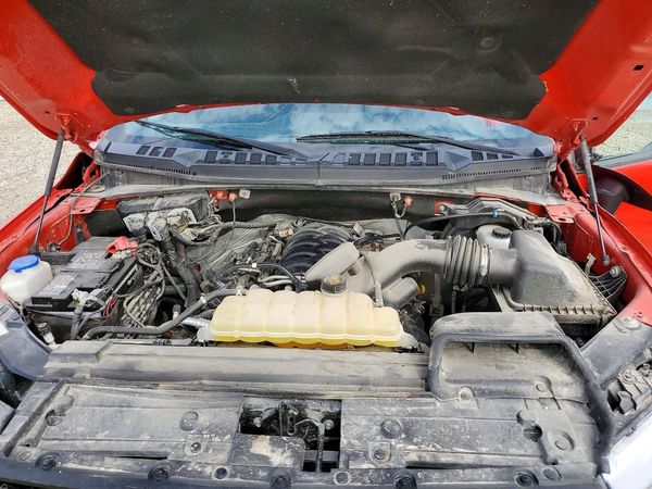 2019 FORD F150