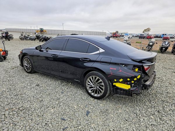 2019 LEXUS ES 300h